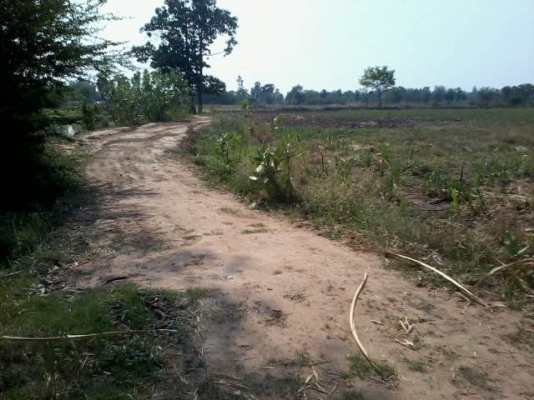 ขายที่ดินติดทางสาธารณะ 11 ไร่ ราคา 160,000 ต่อไร่ อ.สีคิ้ว ขายที่ดินติดทางสาธารณะ 11 ไร่ ราคา 160,000 ต่อไร่ อ.สีคิ้ว