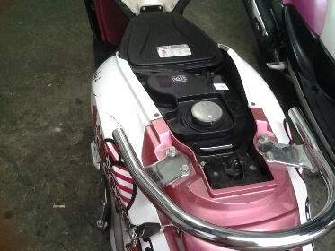 สกุบี้ปี2554