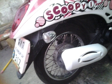 สกุบี้ปี2554