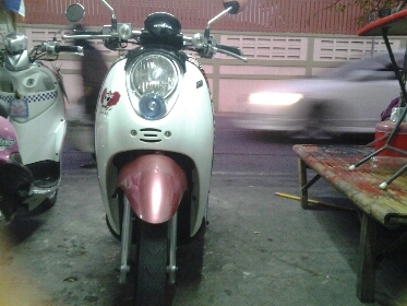 สกุบี้ปี2554