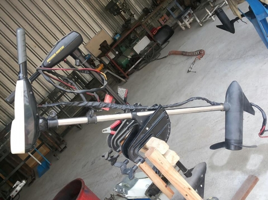 โอโมโต้ 44 ปอนด์(3300 บาท) โอโมโต้ 44 ปอนด์(3300 บาท)