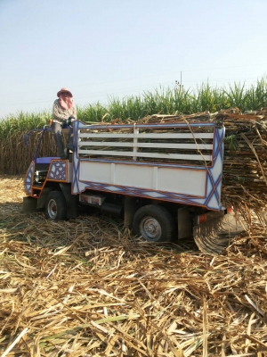 ขายรถอีแต๋น4ล้อ ดั้ม เครื่องisuzu85 สภาพใหม่พร้อมใช้งานบริการส่งทั่วไทยครับ