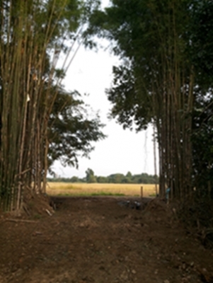 ขายทีดิน ทำเลสวย เชียงใหม่ 8ไร่ ทำเลสวย วิวสวย ใกล้ถนนซุปไฮเวย์เชียงใหม่