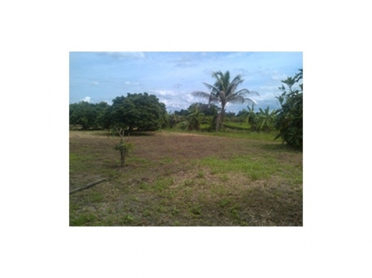 ขายทีดิน ทำเลสวย เชียงใหม่ 8ไร่ ทำเลสวย วิวสวย ใกล้ถนนซุปไฮเวย์เชียงใหม่