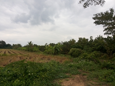 ขายทีดิน ทำเลสวย เชียงใหม่ 8ไร่ ทำเลสวย วิวสวย ใกล้ถนนซุปไฮเวย์เชียงใหม่