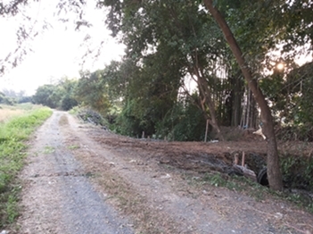 ขายทีดิน ทำเลสวย เชียงใหม่ 8ไร่ ทำเลสวย วิวสวย ใกล้ถนนซุปไฮเวย์เชียงใหม่