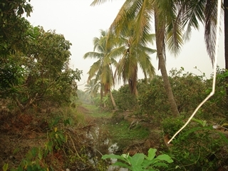 ขายทีดิน ทำเลสวย เชียงใหม่ 8ไร่ ทำเลสวย วิวสวย ใกล้ถนนซุปไฮเวย์เชียงใหม่