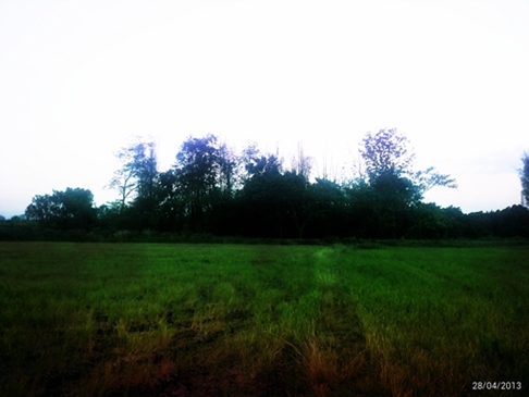 ขายทีดิน ทำเลสวย เชียงใหม่ 8ไร่ ทำเลสวย วิวสวย ใกล้ถนนซุปไฮเวย์เชียงใหม่