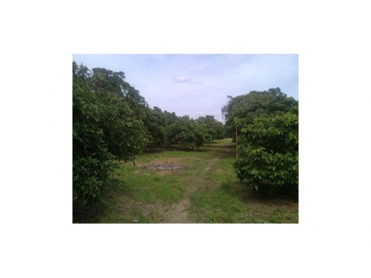 ขายทีดิน ทำเลสวย เชียงใหม่ 8ไร่ ทำเลสวย วิวสวย ใกล้ถนนซุปไฮเวย์เชียงใหม่