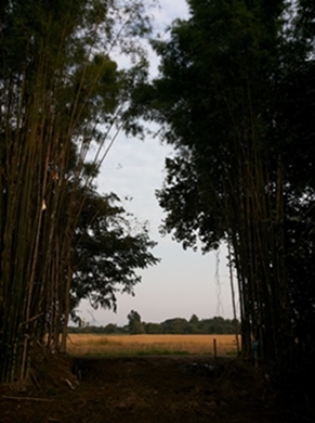 ขายทีดิน ทำเลสวย เชียงใหม่ 8ไร่ ทำเลสวย วิวสวย ใกล้ถนนซุปไฮเวย์เชียงใหม่