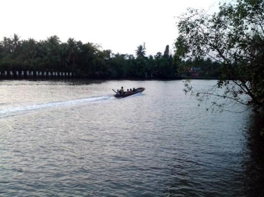 มีที่สมุทรสงคราม ต.คลองเขิน- ต.นางตะเคียน อ.เมือง จ.สมุทรสงคราม ให้เช่าหลายแปลง มีทั้งแปลงน้ำจืด และแปลงน้ำกร่อย มีแปลงสวนมะพร้าวน้ำหอม 8 ไร่ แปลงสวนมะพร้าวกะทิ 1.5ไร่/4ไร่มี3แปลงพร้อมบ้านเช่า/8ไร่มี2แปลง/22ไร่/5.5ไร่(จะล้มมะพร้าวปลูกพืช ผักก็ได้) ราคาไร่