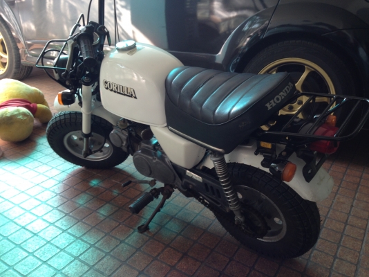 honda gorilla honda gorilla
