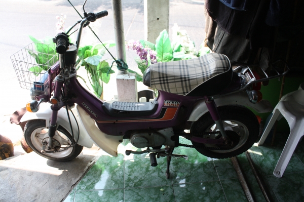 ขาย ชาลี เดิมๆ เครื่องดี ขี่ได้ 13.900 บาท 0935671518 หรั่ง ขาย ชาลี เดิมๆ เครื่องดี ขี่ได้ 13.900 บาท 0935671518 หรั่ง