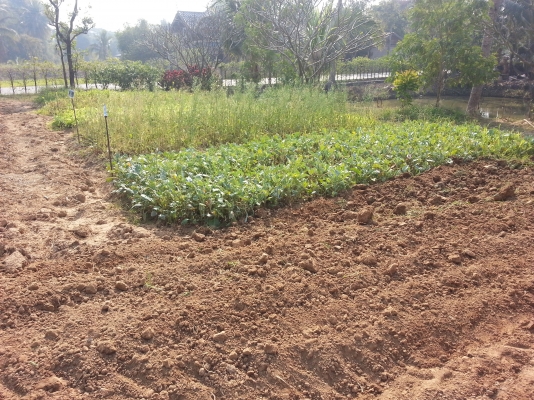 คูโบต้า  L3408 ใบมีดดันหน้าช้าง ผาน 6 ช้าง ทำงาน 587 ชั่วโมงรถไร่สวยเดิมยังกะรถใหม่