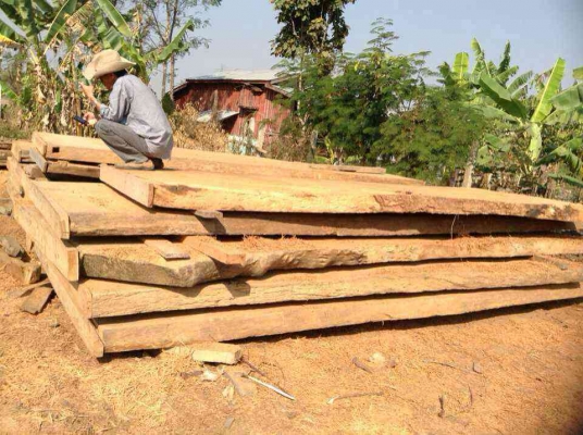 ขายไม้ตะเคียนทองยักษ์ พร้อมส่งทั่วประเทศ