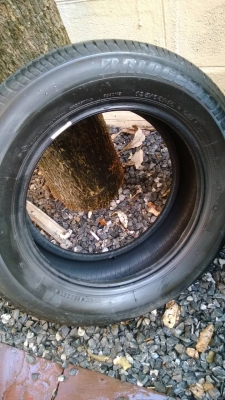 ขายยาง225/55/16GOODYEAR F1ขายกันถูกๆไป890แถมบริดสโตน195/65/15อีกด้วย3เส้นเอาไป900