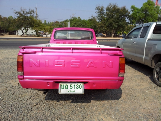 ขาย ช้างเหยียบ สภาพพร้อมใช้งาน ครับ ราคาเบาๆ