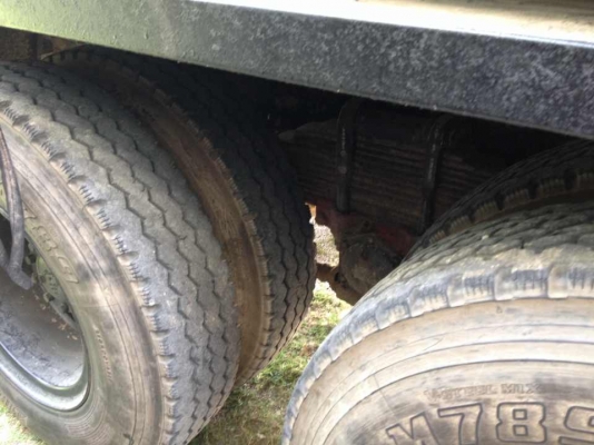 ขายรถสิบล้อ รถสวย สภาพดี พร้อมใช้งาน  0819563995