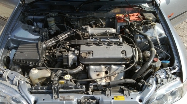 Civic 3dr. สวยๆ