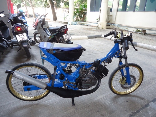 Honda Tana (แว๊น)ลดเหลือ3200.-