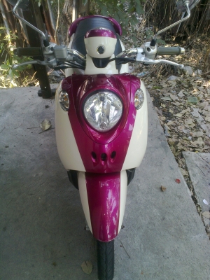 ขายฟีโน่ ปี52รถสวย สภาพดี เครื่องเดิมๆ ขายฟีโน่ ปี52รถสวย สภาพดี เครื่องเดิมๆ