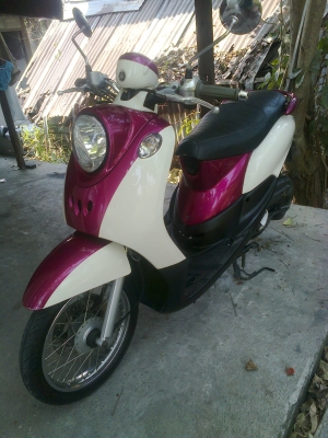 ขายฟีโน่ ปี52รถสวย สภาพดี เครื่องเดิมๆ ขายฟีโน่ ปี52รถสวย สภาพดี เครื่องเดิมๆ