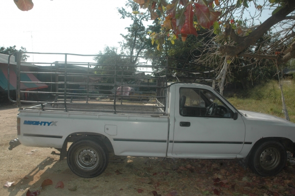 โตโยต้าไมตี้เอ็ก