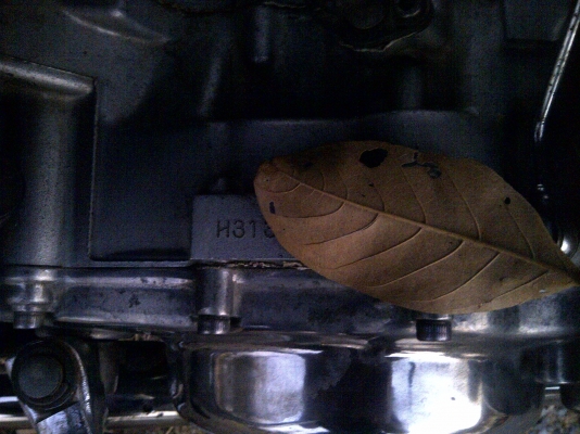 40000.- ราคาสุดท้าย เครื่อง คาร์บู ของปี 2000 ขึ้นไปน่ะคับ เลขเครื่องขึ้นต้น h3 ท่อเปลี่ยนมาใหม่ๆ 40000.- ราคาสุดท้าย เครื่อง คาร์บู ของปี 2000 ขึ้นไปน่ะคับ เลขเครื่องขึ้นต้น h3 ท่อเปลี่ยนมาใหม่ๆ