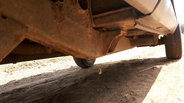 ***ขายแล้วครับขอบคุณ Truck2hand ขายMAZDA FAMILIA 1.3 เดิมๆบางๆ เครื่องเดิมเกียร์เดิม เครื่องแ่น่น แรง เกียร์ดีไม่หลุด ช่วงล่างแน่นไม่ส่าย คัสซีดีเดิมไม่ผุ กระบะสวยพื้นลอนสวยไม่ผุ ยางดี4เส้น หัวเก๋งดีไม่ผุภายในสวยคอนโซลเต็ม พ.ธรรมดา สีสันดี ได้เดิมๆ พร้อมใ