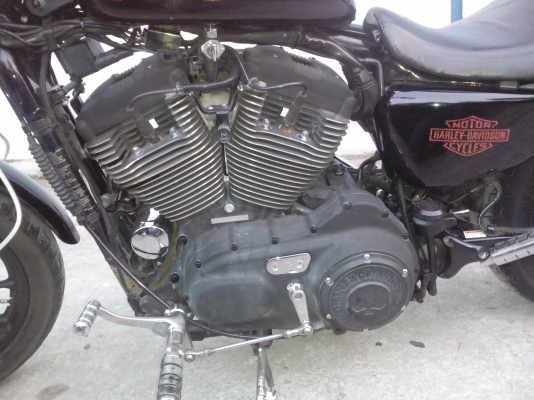 ฮาเล่ย์สปอตเตอร์XL1200 ปี2006 ขาย320000 ฮาเล่ย์สปอตเตอร์XL1200 ปี2006 ขาย320000