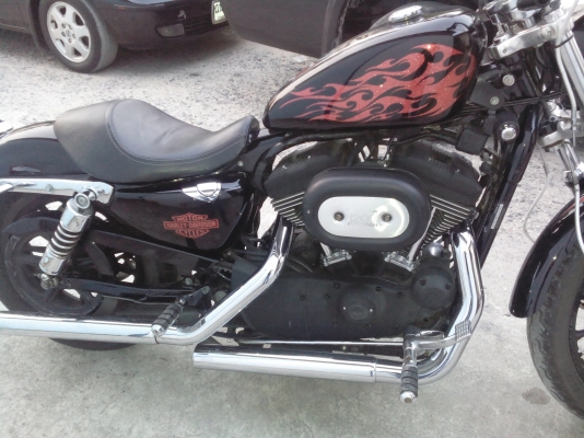 ฮาเล่ย์สปอตเตอร์XL1200 ปี2006 ขาย320000 ฮาเล่ย์สปอตเตอร์XL1200 ปี2006 ขาย320000