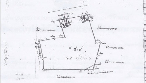 ขายที่ดินติดถนนมิตรภาพ อ.สีคิ้ว  62ไร่  ราคา 1,000,000 บาทต่อไร่