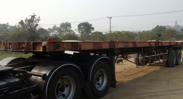 ขายหางลาก(พื้นเรียบ) 1 หางด่วน ขายหางลาก(พื้นเรียบ) 1 หางด่วน