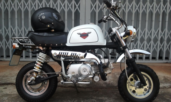 ขาย กอลิล่าสตาร์เลี่ยน