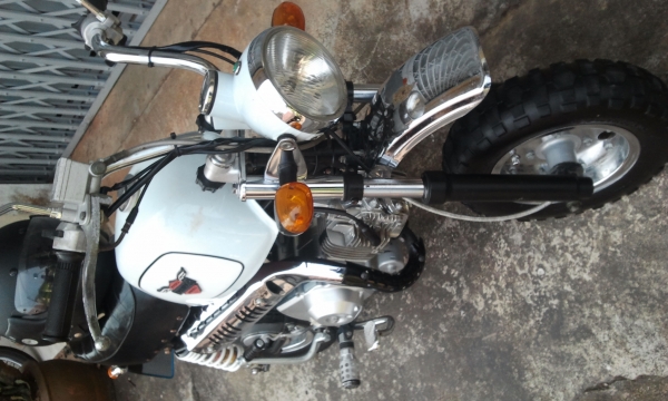 ขาย กอลิล่าสตาร์เลี่ยน