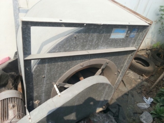 ขายโบวเวอร์เป่าลม ขายโบวเวอร์เป่าลม