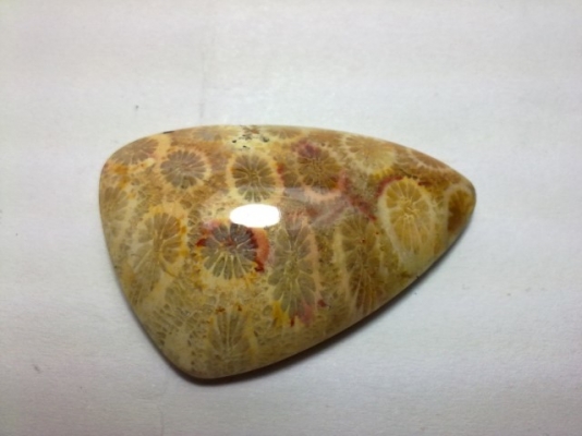 หินลายเปลือกหอย