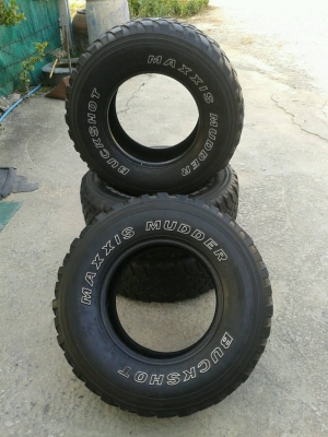 ขายMud31R15