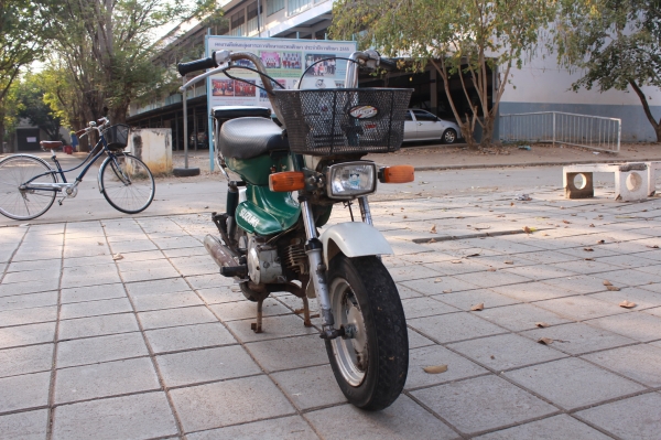 Suzuki 50 cc. สุพรรณบุรี