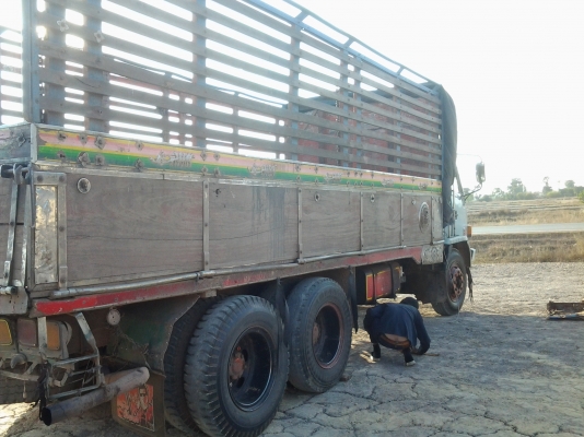 ISUZU ร๊อกกี้เครื่อง6BG1เครื่อง175แรงม้า10ล้อเพลาเดียว ISUZU ร๊อกกี้เครื่อง6BG1เครื่อง175แรงม้า10ล้อเพลาเดียว