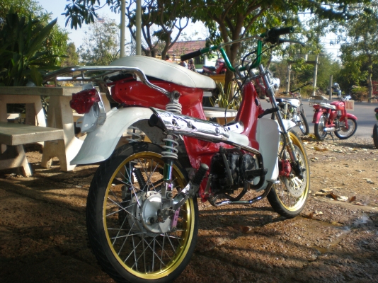 ขอขาย ชาลี เครื่องเเรงๆ เเต่ราคาเบาๆ ค่าตัว 13500 สนใจโทรมาคุยกันได้ครับ 086-8063966 โอ๋ ลพบุรี