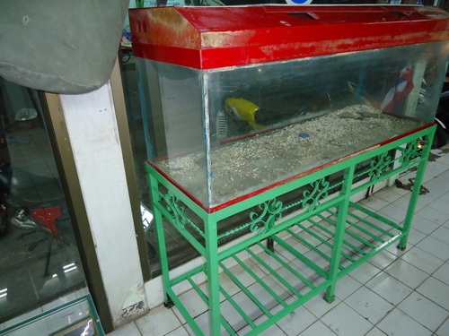 ตู้ปลาลดเหลือ 1350 ตู้ปลาลดเหลือ 1350