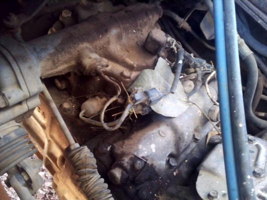 รถมิตซู 10 ล้อดั้ม 260 แรงม้า. ปี 48  สนใจติดต่อ 081 - 6079515