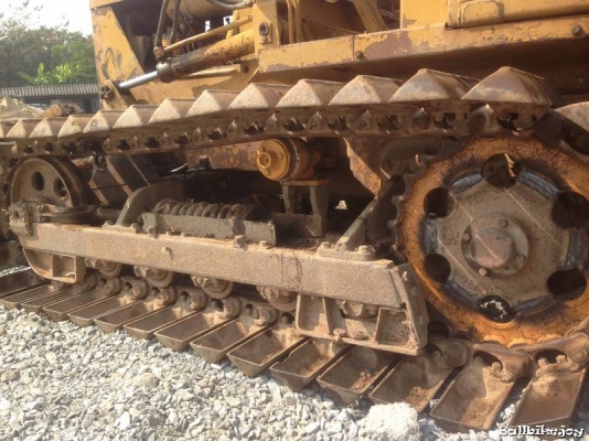 D20 P รุ่น 5