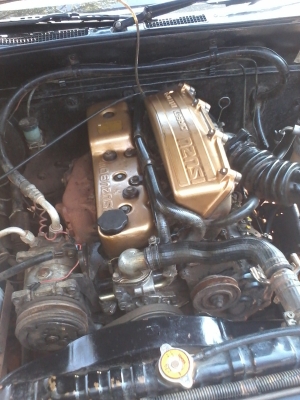 มังกรทองเครื่อง90ph ปี36 ราคา มังกรทองเครื่อง90ph ปี36 ราคา