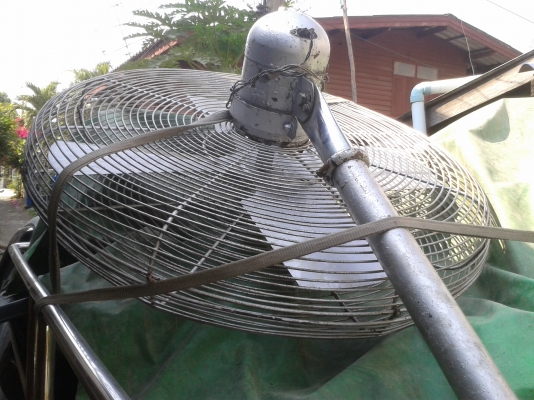 พัดลมยัก    3500