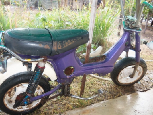 ขายโครงชาลี3200บาท