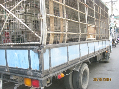 ขาย NPR 115 กระบะคอก 5 เมตร ห้างเดิมปี 37 พร้อมใช้คับ โทร 088-4501277