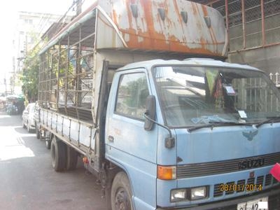 ขาย NPR 115 กระบะคอก 5 เมตร ห้างเดิมปี 37 พร้อมใช้คับ โทร 088-4501277