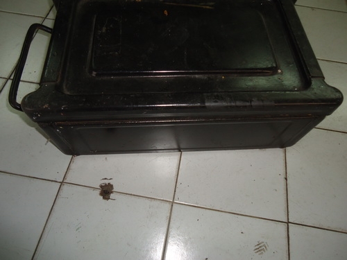 ลังใส่ของเอนกประสงค์